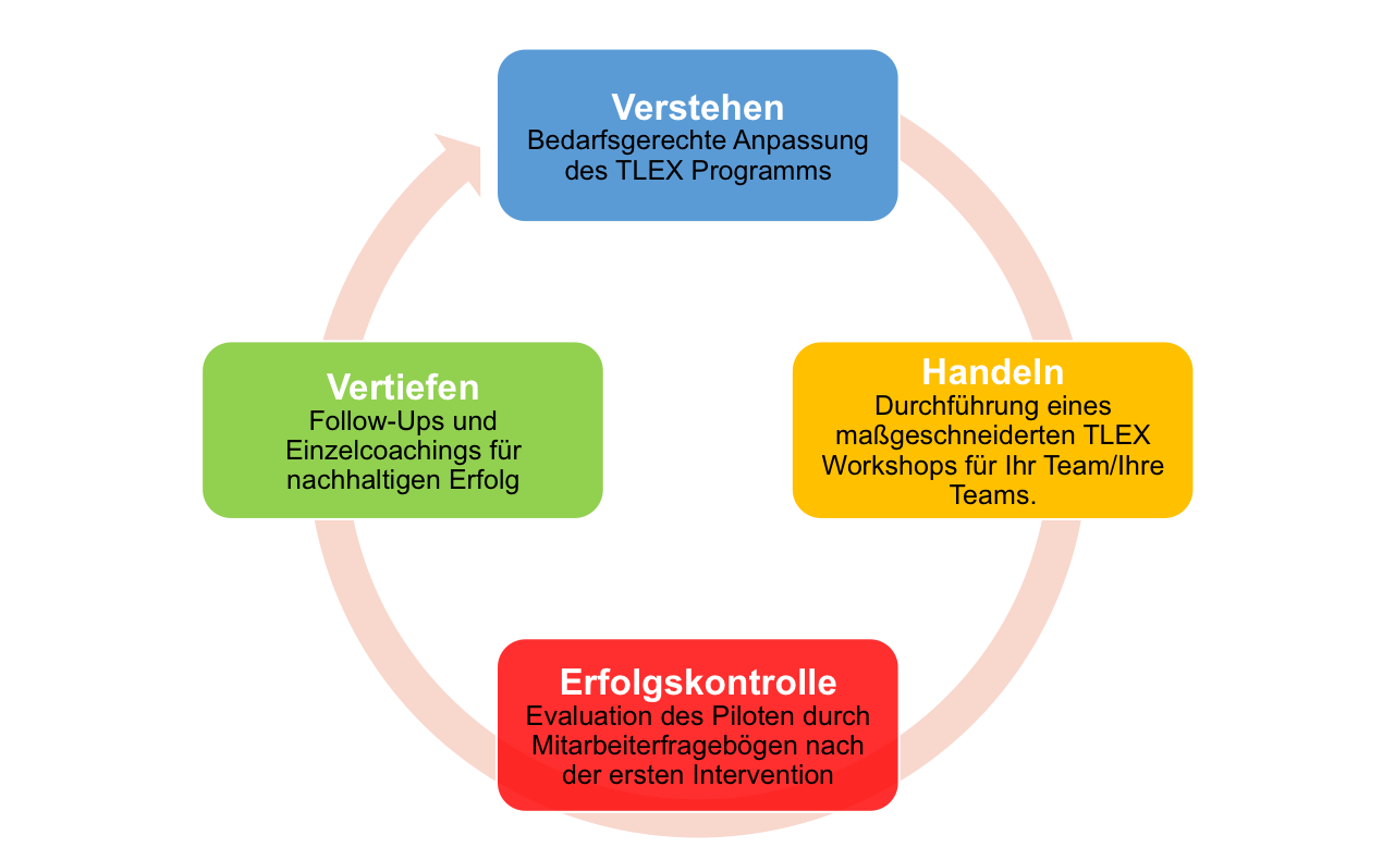 Tlex transform-first | TLEX – Transformational Leadership for Excellence